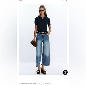 Zara Light Blue Flare Jeans